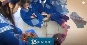 Lee más sobre el artículo Sadop saluda a todas las Maestras Jardineras en su Día